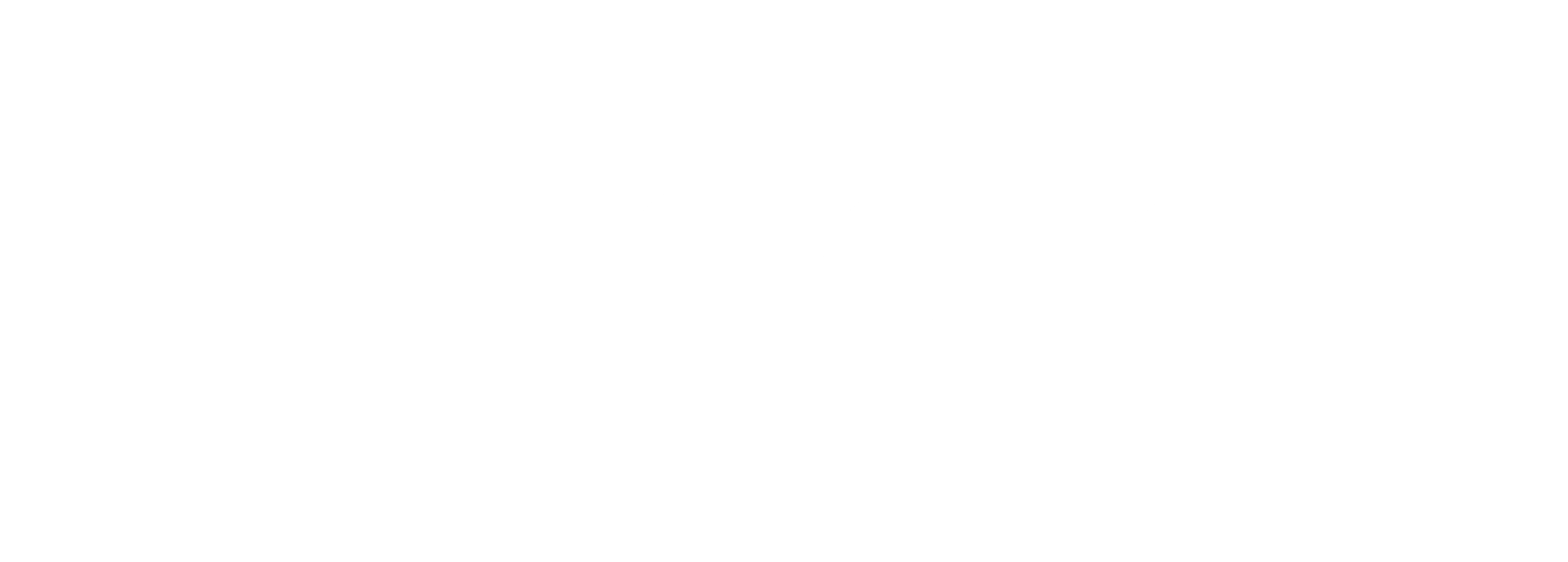 Brooks Running
